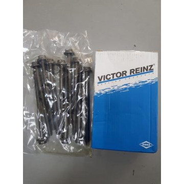 Болт ГБЦ (комплект-10шт)  для VOLKSWAGEN POLO